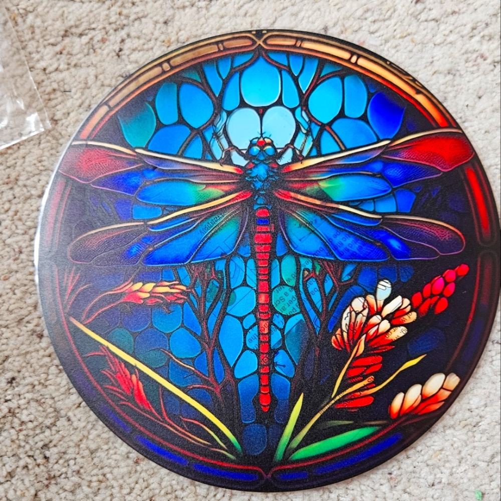 Windows dragonfly suncacatcher decal. Plastic, removable!